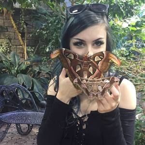 Meet your Posher, Alanna